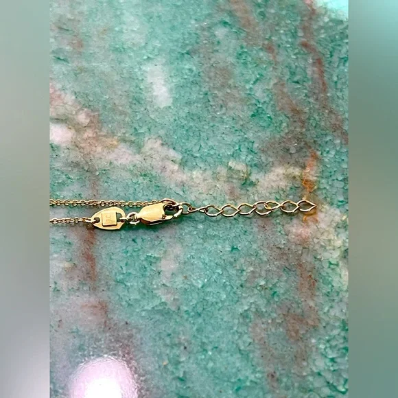 RCI Necklace In 14k